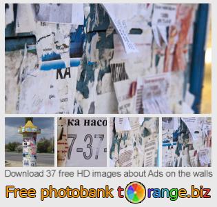 images free photo bank tOrange offers free photos from the section:  ads-walls