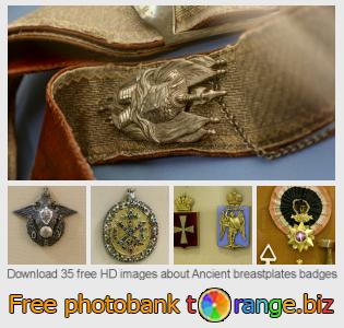 images free photo bank tOrange offers free photos from the section:  ancient-breastplates-badges