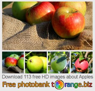 images free photo bank tOrange offers free photos from the section:  apples