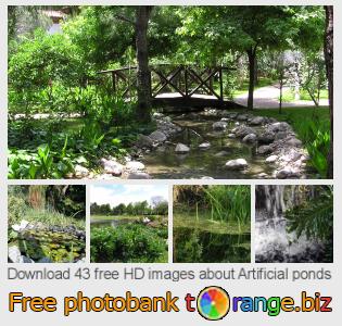 images free photo bank tOrange offers free photos from the section:  artificial-ponds
