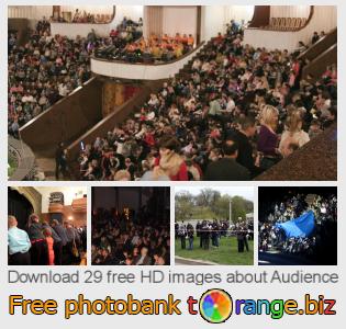 images free photo bank tOrange offers free photos from the section:  audience