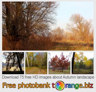 images free photo bank tOrange offers free photos from the section:  autumn-landscape