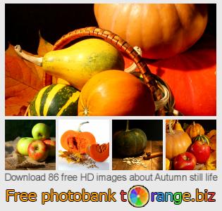images free photo bank tOrange offers free photos from the section:  autumn-still-life