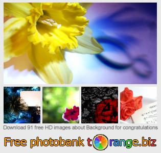 images free photo bank tOrange offers free photos from the section:  background-congratulations