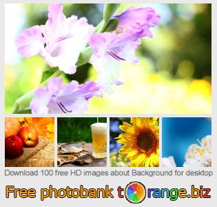 images free photo bank tOrange offers free photos from the section:  background-desktop