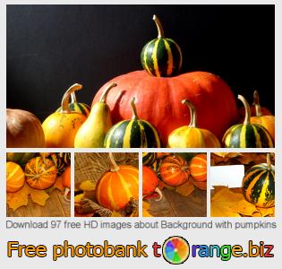 images free photo bank tOrange offers free photos from the section:  background-pumpkins
