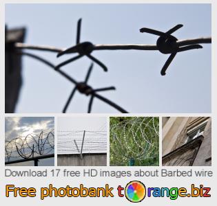 images free photo bank tOrange offers free photos from the section:  barbed-wire