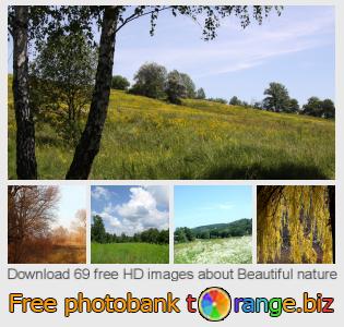 images free photo bank tOrange offers free photos from the section:  beautiful-nature