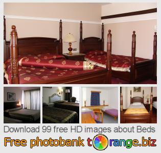 images free photo bank tOrange offers free photos from the section:  beds