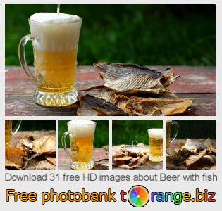 images free photo bank tOrange offers free photos from the section:  beer-fish