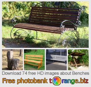 images free photo bank tOrange offers free photos from the section:  benches