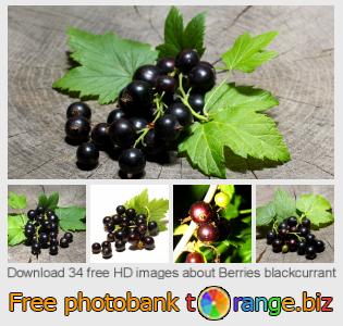 images free photo bank tOrange offers free photos from the section:  berries-blackcurrant