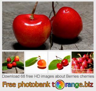images free photo bank tOrange offers free photos from the section:  berries-cherries