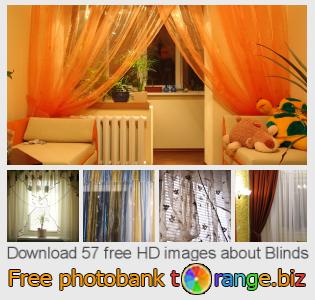 images free photo bank tOrange offers free photos from the section:  blinds