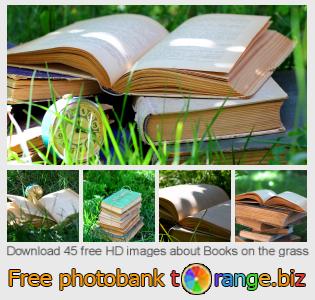 images free photo bank tOrange offers free photos from the section:  books-grass