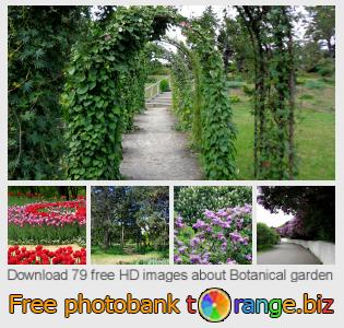 images free photo bank tOrange offers free photos from the section:  botanical-garden