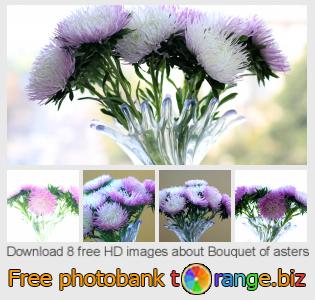 images free photo bank tOrange offers free photos from the section:  bouquet-asters