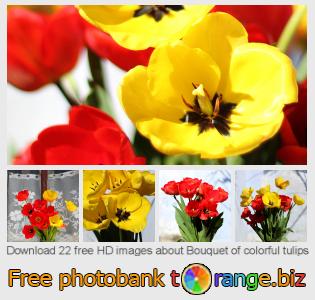 images free photo bank tOrange offers free photos from the section:  bouquet-colorful-tulips