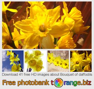 images free photo bank tOrange offers free photos from the section:  bouquet-daffodils