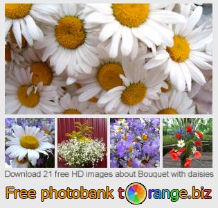 images free photo bank tOrange offers free photos from the section:  bouquet-daisies