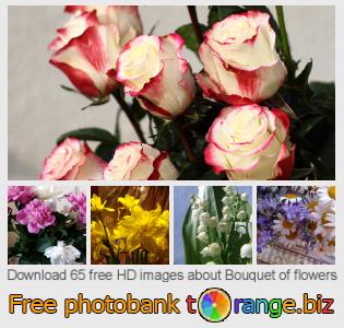 images free photo bank tOrange offers free photos from the section:  bouquet-flowers