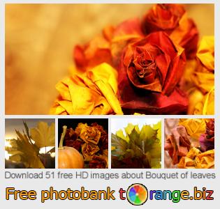 images free photo bank tOrange offers free photos from the section:  bouquet-leaves