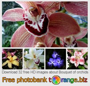 images free photo bank tOrange offers free photos from the section:  bouquet-orchids