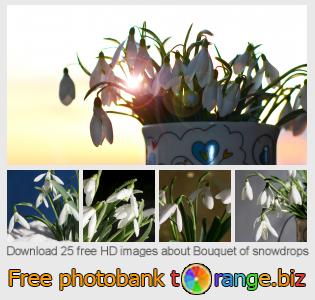 images free photo bank tOrange offers free photos from the section:  bouquet-snowdrops