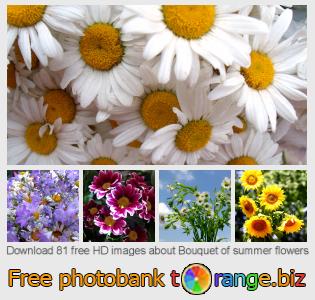 images free photo bank tOrange offers free photos from the section:  bouquet-summer-flowers