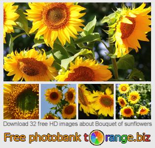 images free photo bank tOrange offers free photos from the section:  bouquet-sunflowers