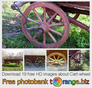 images free photo bank tOrange offers free photos from the section:  cart-wheel
