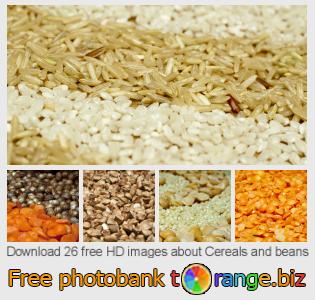 images free photo bank tOrange offers free photos from the section:  cereals-beans