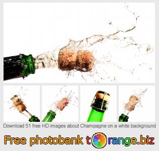 images free photo bank tOrange offers free photos from the section:  champagne-white-background
