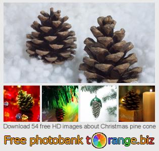 images free photo bank tOrange offers free photos from the section:  christmas-pine-cone