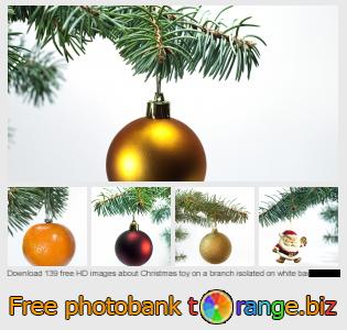 images free photo bank tOrange offers free photos from the section:  christmas-toy-branch-isolated-white-background