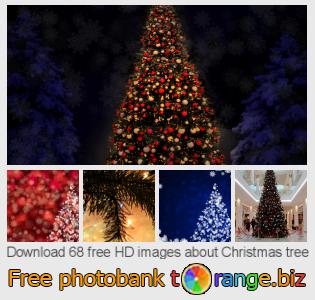 images free photo bank tOrange offers free photos from the section:  christmas-tree