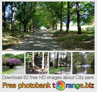 images free photo bank tOrange offers free photos from the section:  city-park