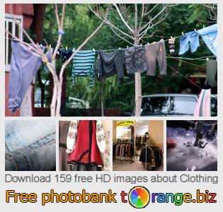 images free photo bank tOrange offers free photos from the section:  clothing