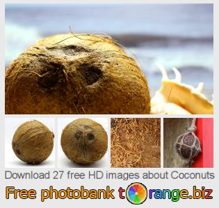 images free photo bank tOrange offers free photos from the section:  coconuts