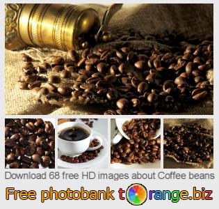 images free photo bank tOrange offers free photos from the section:  coffee-beans