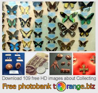 images free photo bank tOrange offers free photos from the section:  collecting