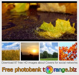 images free photo bank tOrange offers free photos from the section:  covers-social-networks