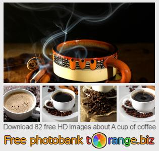 images free photo bank tOrange offers free photos from the section:  cup-coffee