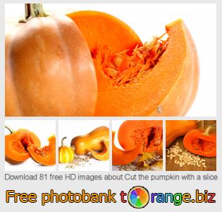 images free photo bank tOrange offers free photos from the section:  cut-pumpkin-slice