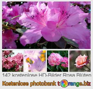 Bilddatenbank tOrange bietet kostenlosen Fotos aus dem Bereich:  rosa-blüten