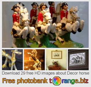 images free photo bank tOrange offers free photos from the section:  decor-horse