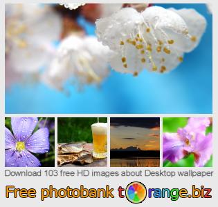 images free photo bank tOrange offers free photos from the section:  desktop-wallpaper