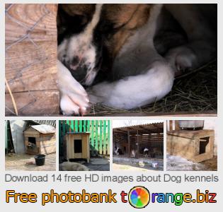 images free photo bank tOrange offers free photos from the section:  dog-kennels