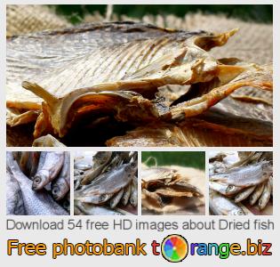 images free photo bank tOrange offers free photos from the section:  dried-fish