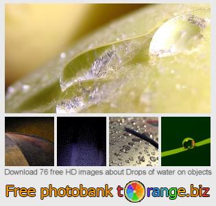 images free photo bank tOrange offers free photos from the section:  drops-water-objects